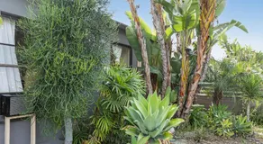 Stylish Suites 10 min to UCLA & Santa Monica - Image 5