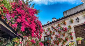 Nice Home In Lucena With Outdoor Swimming Pool - Image 2