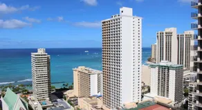PonoAloha - Image 5