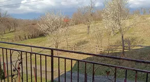 Casa Tonyza - Image 5