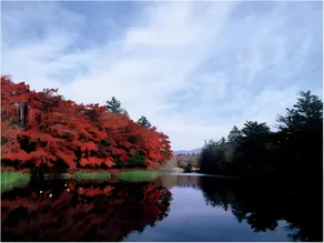 Meijiya Ryokan - Image 4