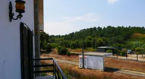 Granja MG - Image 5