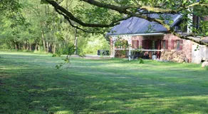 Sommersprosse - Image 3