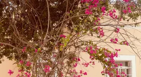 Star Emirates Garden Villas Salalah - Image 3