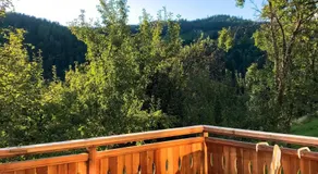Quiet apartment with a terrace on Organic farm - Image 2