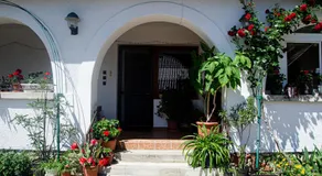 Bánóporta - Image 5