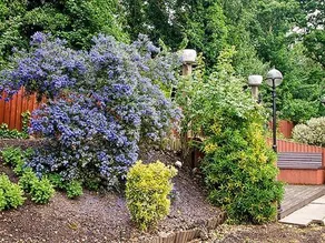 Olivers Lodge Hotel - Image 4