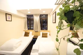 1501 - Cute Room, one bed room, open area kitchen - Image 2