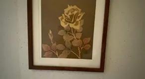 Handpicked Aashiayana- Topaz - Image 4