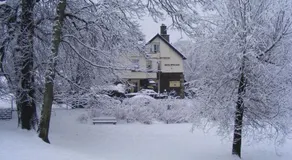 Beechwood - Image 4