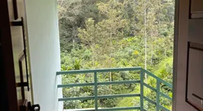 Estate stay near Dubare elephant camp, friendly for remote workers - Image 4