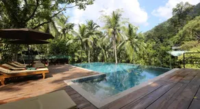 360 Rainforest - Image 2