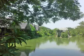 Cozy Resort - Image 4