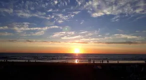 DuinVliet - Zandvoort Dunes & Free Parking - Image 3