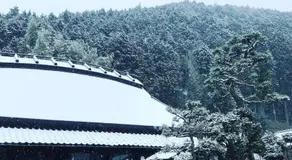 みのる庵 - Image 5