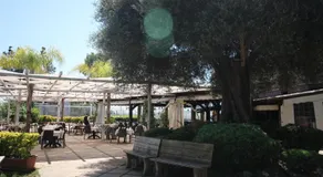 Baffone Hotel - Image 3