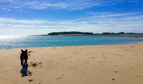 Victor Island Private Island Paradise - Image 2