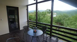 Casa Paltinu - Image 3
