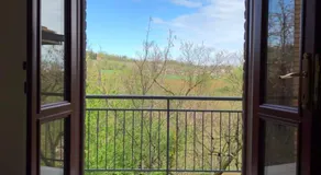 caolzio39 - Image 3
