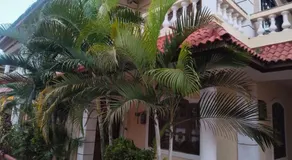 The Coastal Villa Arpora - Image 4