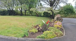 Wicklow - Image 4