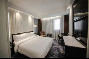 Jinjiang Metropolo Hotel Nanjing Confucius Temple Branch - Image 5