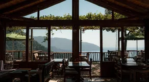 Olive Garden Kabak - Image 5