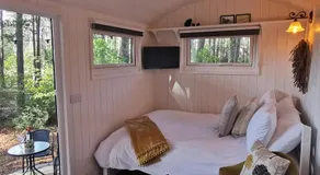 Forest Heath Shepherd's Huts - Image 2
