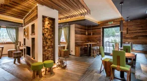 Chalet Vites Mountain Hotel - Image 3
