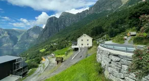 Kvam - Stegastein - Image 5