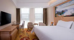 Vienna Hotel (Jieyang Longwei) - Image 5