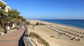 La Gaviota - Image 2