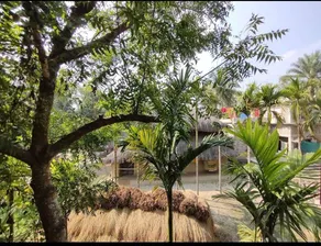Amullya Kanan Villa, Sundarban - Image 4
