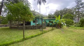 Lakeside 3-BR Forest Cottage - Image 5