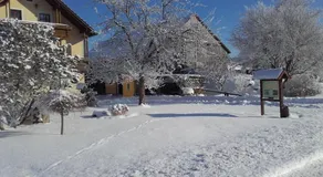 Familienfreundliche Wohnung mit Sauna und Grill - Image 4