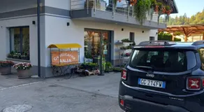 Apartmaji Tisa in Žana - Image 5