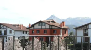 Zezilionea - Image 3