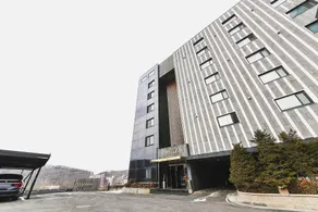 Paju Miiz - Image 2