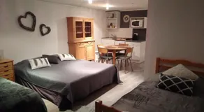 Appartement Loft Grenouillit Le Puy en Velay - Image 2
