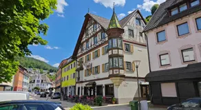 Schwarzwaldraum Schlossblick - Image 4
