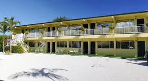 The Palm Rose - Image 5