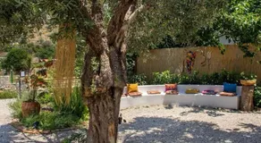 Gammi Hayıtbükü - Image 2