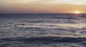 Bonjour Sauvage Saint Jean de Luz - Image 4