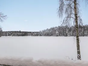 Holiday Home Lepikko by Interhome - Image 3