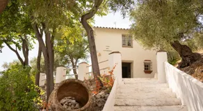 Finca Soleá - Image 4