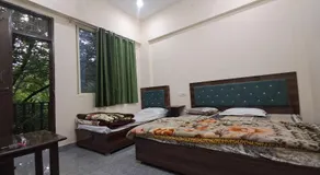 Krishna palace - Image 2