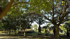 Stay In Brisas del Sur - Image 3