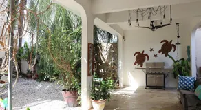 Beachside One bedroom Apt steps from prime beach generator parking included - Image 5