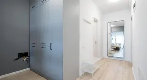 Springview Studio - Image 3