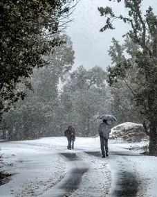 Shivoham Himalayan Resort - Image 3